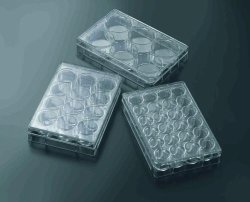 3D Cell culture plates CellSCAFLD<sup>®</sup>, treated, PS, sterile